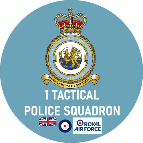 Raf pin badge choose your - badge, *