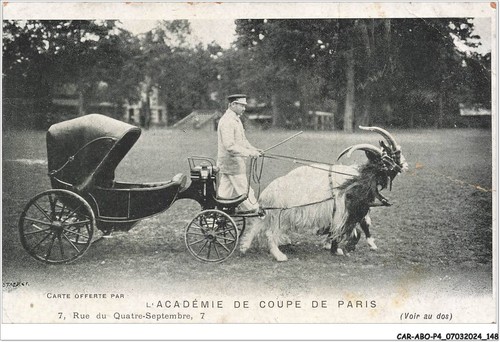 Car abop4 0377 l academie - car-abop4-0377-75,